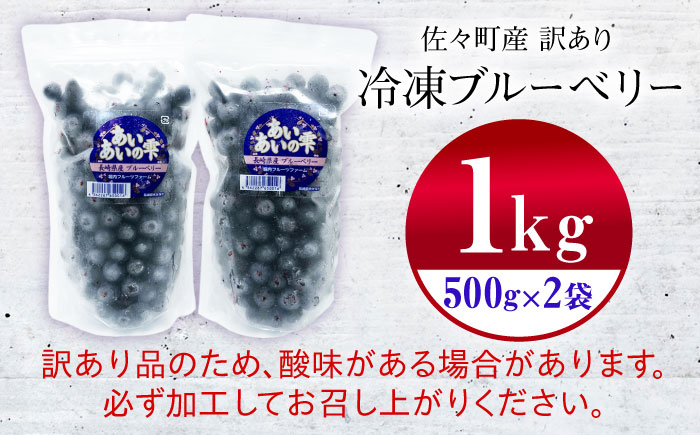 佐々町産訳あり冷凍ブルーベリー1kg [QAT019]