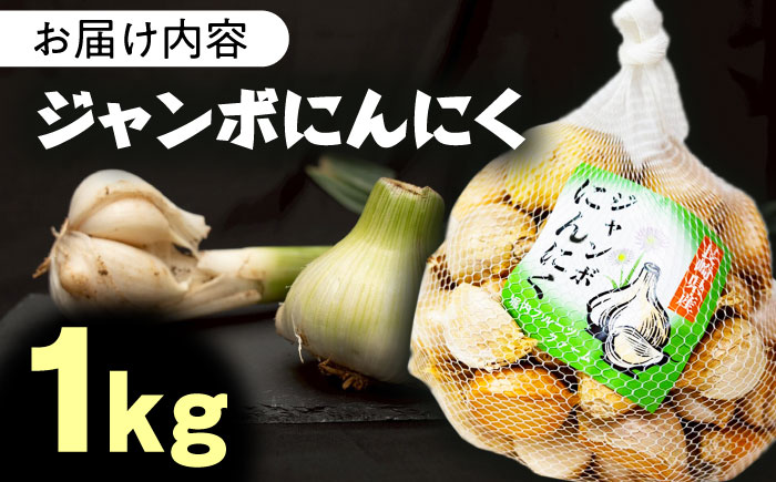 佐々町産ジャンボニンニク1kg [QAT021]