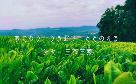 【三茶三葉】茶園のお茶 3種 飲み比べセット【佐々町観光協会】 [QAW001] [QAW001]