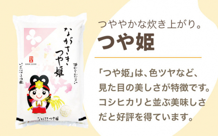 【全12回定期便】【甘みと旨みのお米】長崎県産米 （つや姫） 計60kg （5kg×12回）【ながさき西海農業協同組合】 [QAZ018] [QAZ018]