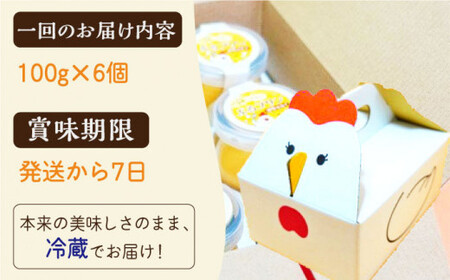 【全3回定期便】【卵が濃い！】たまごやさんのぷるプリン （濃厚仕立て） 6個入/回【ぷるたま工房】 [QBB002] [QBB002]