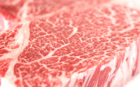 【全12回定期便】「希少部位」長崎和牛 ヒレ ブロック 計7.2kg （約600g/回）【黒牛】 [QBD040] [QBD040]