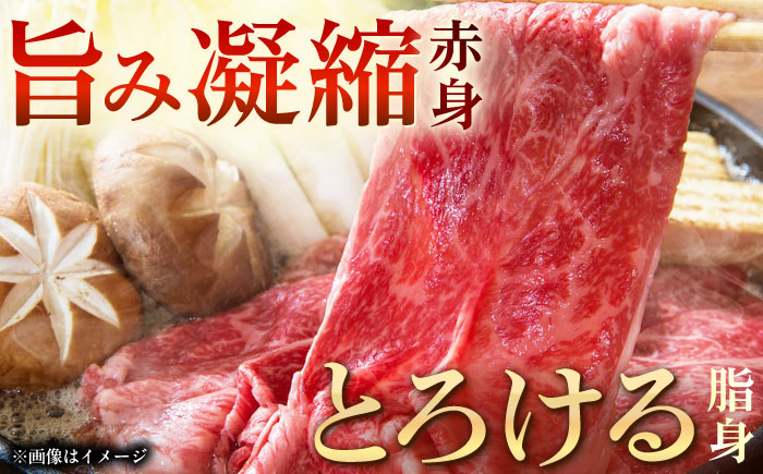 【6回定期便】長崎和牛モモスライス約500g【黒牛】 [QBD075]