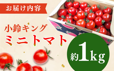 【先行予約】ミニトマト 小鈴キング 1kg【C&T farm】 [QBG003] [QBG003] トマト ミニ トマト 小鈴キング トマト 人気 リピート