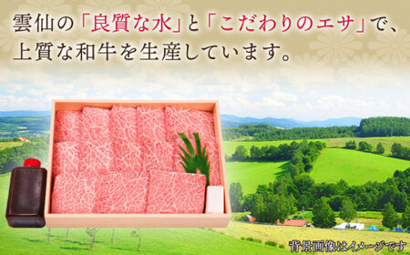 【年内配送】【受賞歴多数！】長崎和牛 特上ロース （ミニステーキ） 約700g【株式会社 OGAWA】 [QBI002] [QBI002]