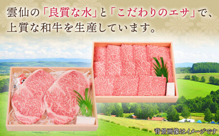 【全12回定期便】長崎和牛 ステーキ セット （特上ロース・サーロイン）  総計13.2kg （1.1kg/回）【株式会社 OGAWA】 [QBI020] [QBI020]