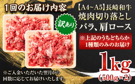 【全12回定期便】【訳あり】【A4～A5】長崎和牛焼肉切り落とし(肩ロース・バラ）　1kg（500g×2p）【株式会社 MEAT PLUS】 [QBS044] [QBS044]