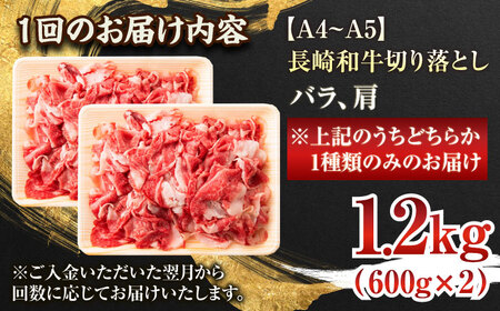 【全6回定期便】【A4～A5】長崎和牛切り落とし　1.2kg(600g×2p）【株式会社 MEAT PLUS】 [QBS052] [QBS052]