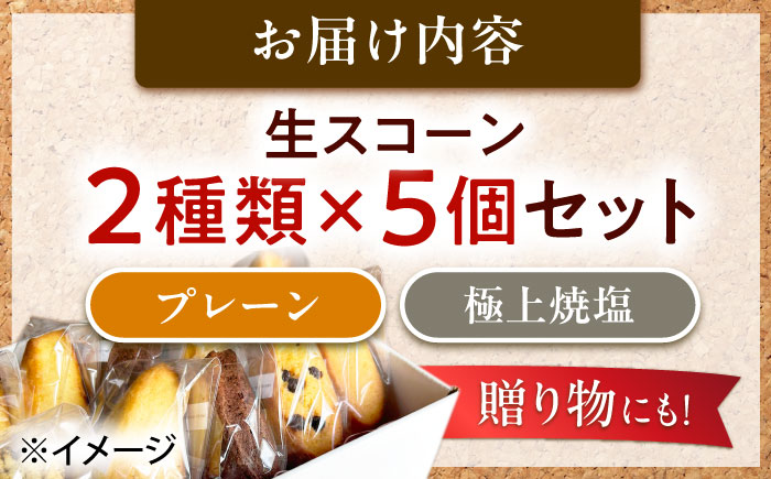 【卵不使用！】生スコーン プレーン・極上焼塩 2種10個セット [QBZ002]