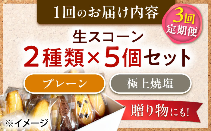 【全3回定期便】【卵不使用！】生スコーン プレーン・極上焼塩 2種10個セット [QBZ006]
