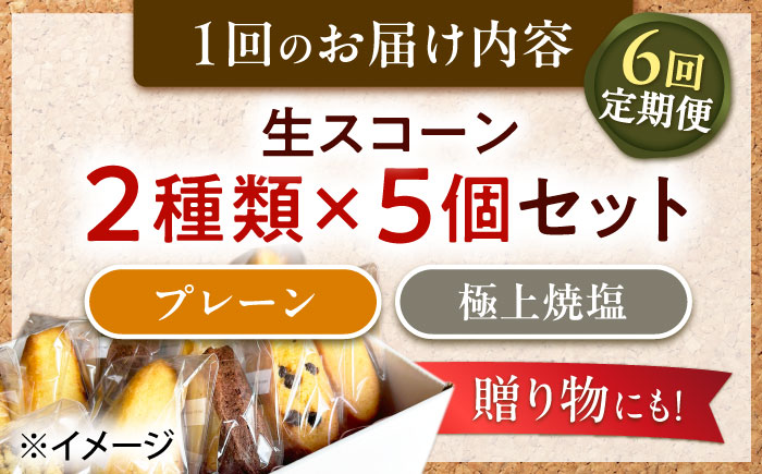 【全6回定期便】【卵不使用！】生スコーン プレーン・極上焼塩 2種10個セット [QBZ007]
