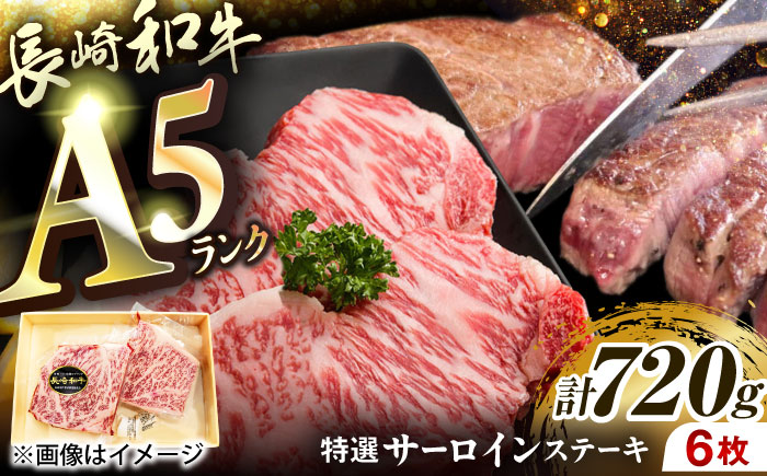 崎和牛A5ランクサーロインステーキ6枚 約120g×6枚 [QAA035]