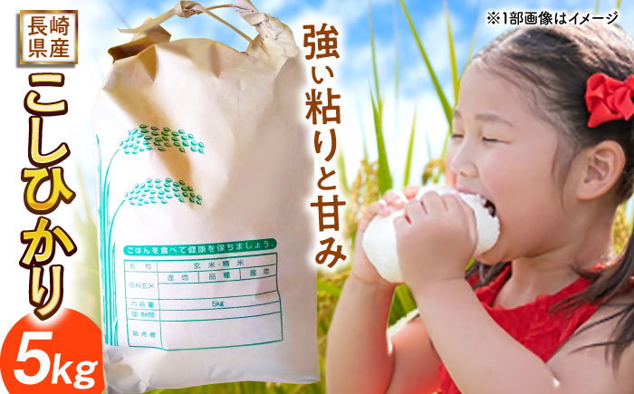 長崎県産こしひかり5kg【酒のタナカ】 [QAM018] 米 コシヒカリ 長崎県産 お米 5キロ 5kg