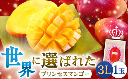 【先行予約】【心地よい至福の果肉感！】完熟プレミアム プリンセス マンゴー 3L×1玉 完熟マンゴー 高品質マンゴー まんごー 【堀内フルーツファーム】 [QAT006] [QAT006]