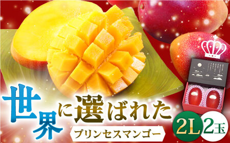 【先行予約】【心地よい至福の果肉感！】完熟プレミアム プリンセス マンゴー 2L×2玉 完熟マンゴー 高品質マンゴー まんごー 【堀内フルーツファーム】 [QAT007] [QAT007]