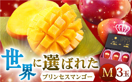 【先行予約】【心地よい至福の果肉感！】完熟プレミアム プリンセス マンゴー M×3玉 【堀内フルーツファーム】 [QAT008] [QAT008]