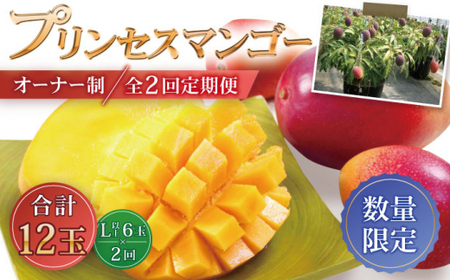 【数量限定・全2回定期便】【先行予約】プリンセス マンゴー オーナー制度 （ハーフプラン） 計12個 完熟マンゴー 高品質マンゴー まんごー【堀内フルーツファーム】 [QAT011] [QAT011]