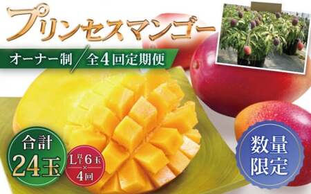 【数量限定・全4回定期便】【先行予約】プリンセス マンゴー オーナー制度 （マイオーナープラン） 計24個 完熟マンゴー 高品質マンゴー まんごー 20万円 200000円【堀内フルーツファーム】 [QAT012] [QAT012]