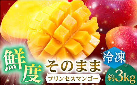 【先行予約】【冷凍】プリンセスマンゴー 約3kg [QAT014] [QAT014]