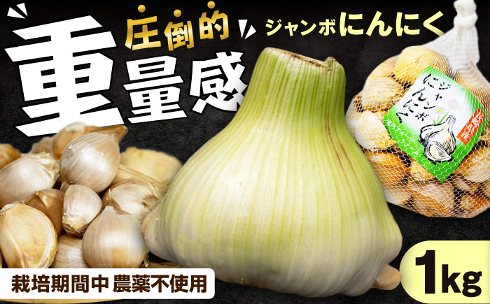佐々町産ジャンボニンニク1kg [QAT021]