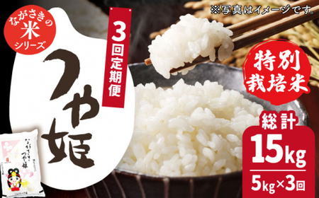 【全3回定期便】【甘みと旨みのお米】長崎県産米 （つや姫） 計15kg （5kg×3回）【ながさき西海農業協同組合】 [QAZ016] [QAZ016]
