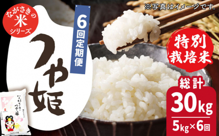 【全6回定期便】【甘みと旨みのお米】長崎県産米 （つや姫） 計30kg （5kg×6回）【ながさき西海農業協同組合】 [QAZ017] [QAZ017]