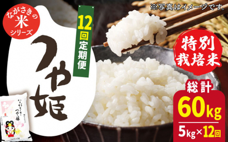 【全12回定期便】【甘みと旨みのお米】長崎県産米 （つや姫） 計60kg （5kg×12回）【ながさき西海農業協同組合】 [QAZ018] [QAZ018]