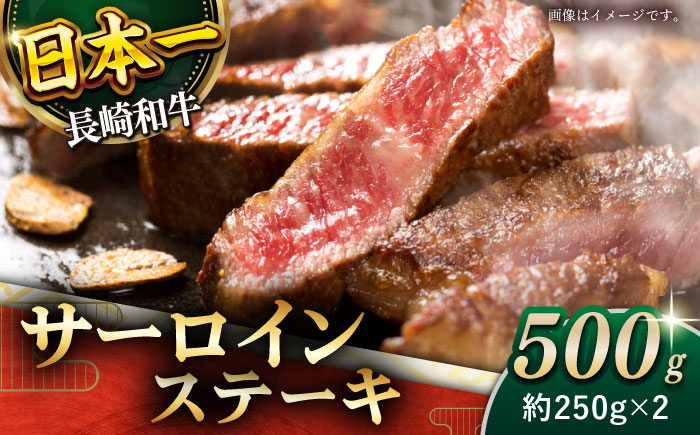 【極厚！】長崎和牛 サーロイン ステーキ 計500g （約250g×2枚）【黒牛】 [QBD011] [QBD011]