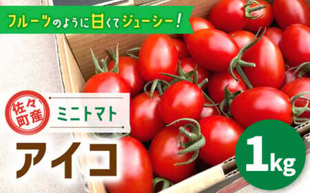 【先行予約】ミニ トマト アイコ 1.0kg [QBG001] とまと ミニ トマト アイコ トマト