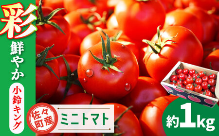 【先行予約】ミニトマト 小鈴キング 1kg【C&T farm】 [QBG003] [QBG003] トマト ミニ トマト 小鈴キング トマト 人気 リピート