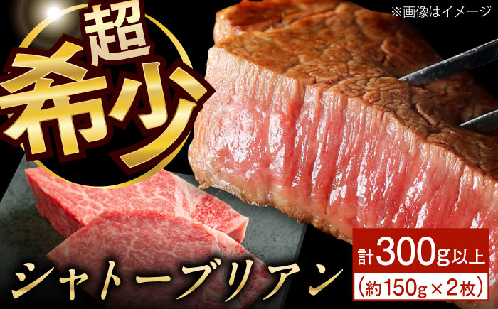 【極上の赤身肉】シャトーブリアン ステーキ 長崎和牛 計300g以上 (約150g×2枚)【肉のマルシン】 [QBN058]