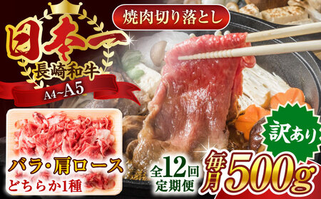 【全12回定期便】【訳あり】【A4～A5】長崎和牛焼肉切り落とし(肩ロース・バラ）　500g【株式会社 MEAT PLUS】 [QBS041] [QBS041]
