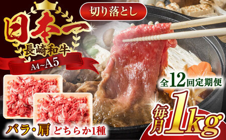 【全12回定期便】【A4～A5】長崎和牛切り落とし　1kg(500g×2p）【株式会社 MEAT PLUS】 [QBS050] [QBS050]