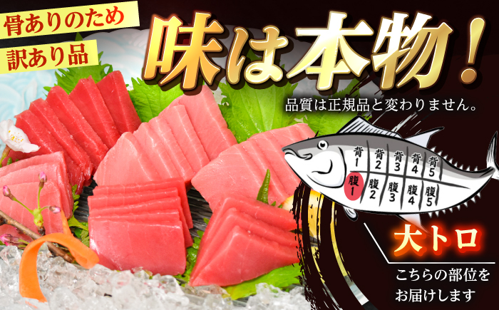 【訳あり】 金太郎 マグロ 冷凍 大トロ 約800g 【徳丸】 [RAC030]