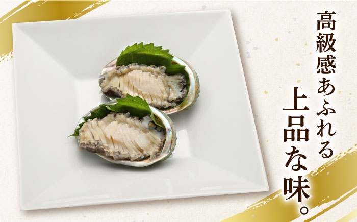 【小ぶりで料理に使いやすい！】 上五島産 養殖 ひとくち アワビ 厳選 30個 鮮魚 魚介類 【豊建設株式会社】 [RAE002]