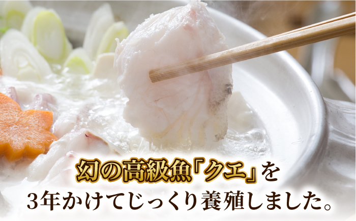 【全3回定期便】【五島列島産 幻の高級魚！】 クエ 鍋セット 4人前 鮮魚 魚介類 【豊建設株式会社】 [RAE012]