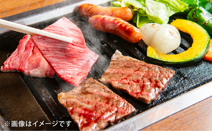 【全12回定期便】【希少で上品なお肉をご家庭で！】五島牛 焼肉セット 肩ロース バラ 700g 約4人前【ごとう農業協同組合】 [RAT008]