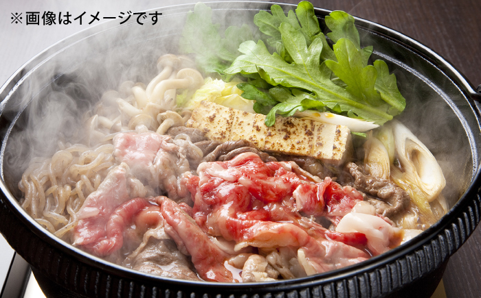 【全3回定期便】【希少で上品なお肉をご家庭で！】五島牛 薄切りセット ロース モモ 700g 4～5人前【ごとう農業協同組合】 [RAT009]