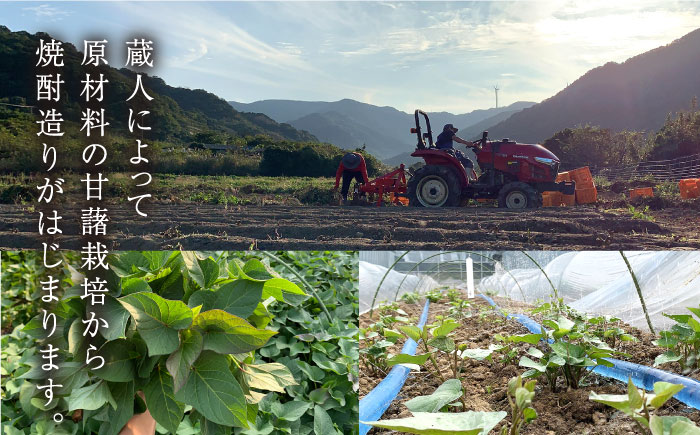 【上五島産の芋で作る本格芋焼酎】五島灘黒麹・明治之芋五島灘 2本セット 各1800ml×1本 お酒 焼酎 【五島灘酒造】 [RAW005]