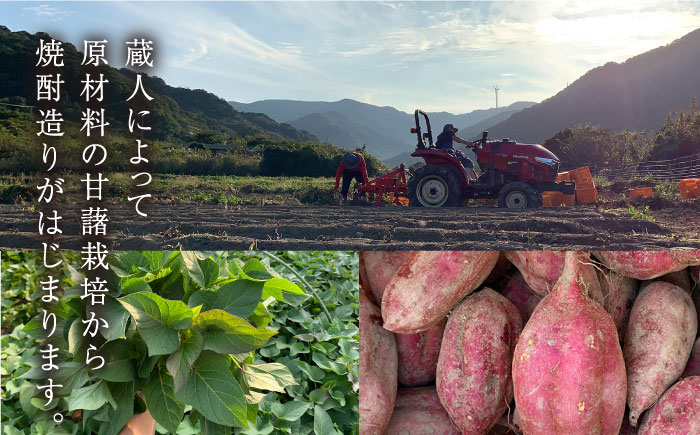 【上五島産の芋で作る本格芋焼酎】五島灘 紅芋 1800ml×1本 お酒 焼酎 【五島灘酒造】 [RAW010]