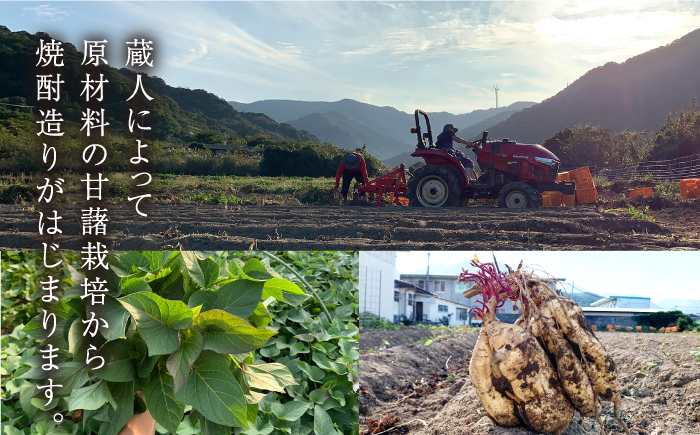 【全6回定期便】【上五島産の芋で作る本格芋焼酎】 越鳥南枝 2本セット 各720ml×1本 お酒 焼酎 【五島灘酒造】 [RAW028]