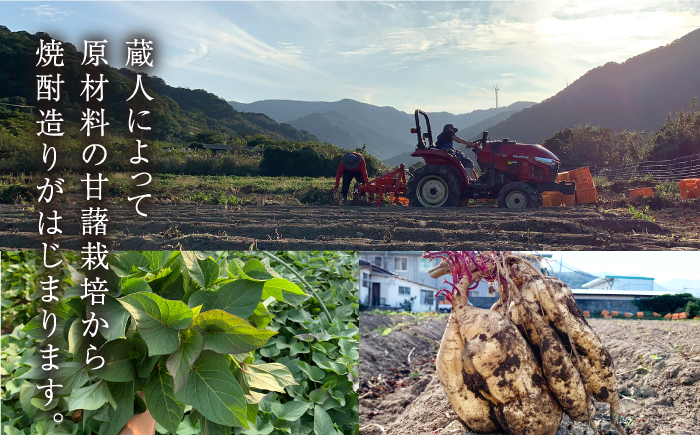 【全3回定期便】【上五島産の芋で作る本格芋焼酎】五島灘 黒麹 1800ml×1本 お酒 焼酎 【五島灘酒造】 [RAW033]