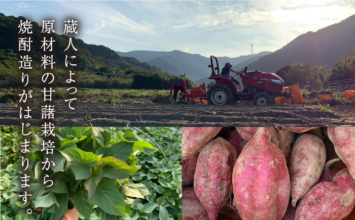 【全6回定期便】【上五島産の芋で作る本格芋焼酎】五島灘 紅芋 1800ml×1本 お酒 焼酎 【五島灘酒造】 [RAW040]