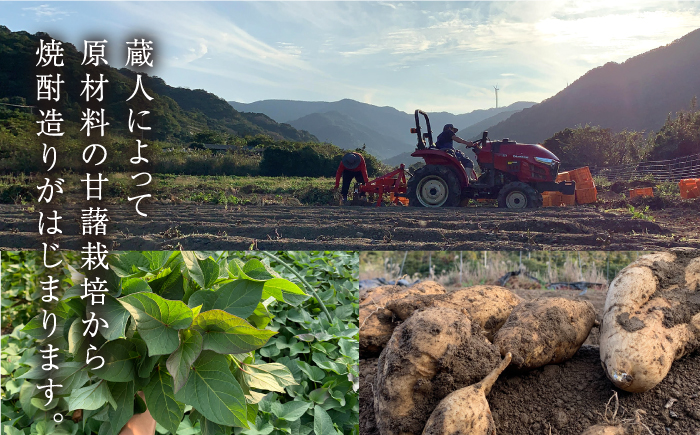 【全12回定期便】【上五島産の芋で作る本格芋焼酎】明治之芋 五島灘 1800ml×1本 お酒 焼酎 【五島灘酒造】 [RAW044]