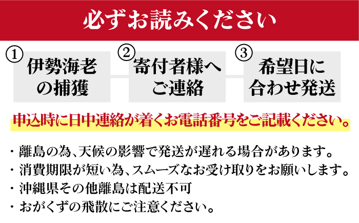 【限定数量】【五島列島の海の恵み】 特大 天然 活き 伊勢海老 1尾 1.1kg 魚介類 鮮魚 【有川町漁業協同組合】 [RBH001]