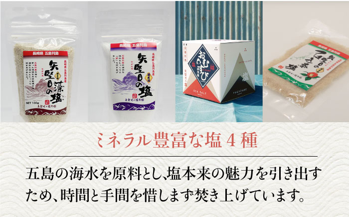 【多数の企業とコラボ実績あり】五島列島を味わうスタンダードプラスセット（五島うどん、かんころ餅2種類、あごだし、ミネラル豊富な塩4種類、つばき茶）【やがため】 [RBM003]