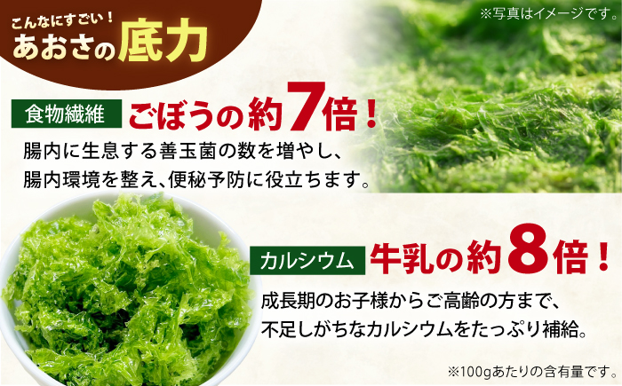 【五島列島よりお届け】冷凍 生あおさ 50g×10袋 計500g 魚介類 鮮魚 あおさ 【上五島町漁業協同組合】 [RBN007]