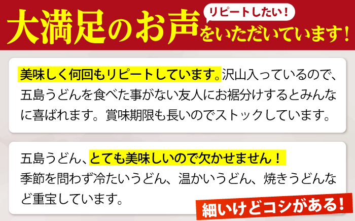 【五島うどんランキング1位！】 五島手延べうどん 300g×10袋 【江口製麺】 [RBO009]