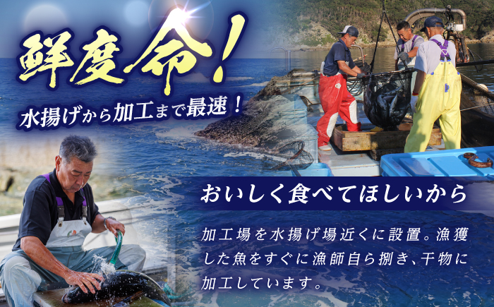 【旨味をぎゅっと凝縮！】旬の魚 干物 5種 詰め合わせ【松園水産】 [RBO012]