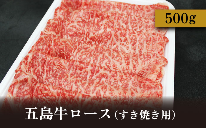 【幻の和牛のとろける旨味】 五島牛 グルメセット 【ミートマーケットハラ】 [RBO015]